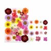 Zarwani Pressed Dried Flowers for Resin, Mixed Multiple Dry Flower for DIY Art Crafts, Epoxy Candle Resin Jewelry Nail Pendant for Resin Art, Scrapbooking DIY Art Crafts Epoxy (Red and Blue Mix) - Image 2
