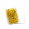 Zarwani 1 Box Natural Real Dried Flowers for Art Craft Mixed Soap, Candle, Scrapbook, DIY, Resin Tray Jewellery, Pendant (Yellow Gypsy)