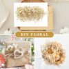 Zarwani 1 Box Natural Real Dried Flowers for Art Craft Mixed Soap, Candle, Scrapbook, DIY, Resin Tray Jewellery, Pendant (White Mix Color) (White Mix) - Image 9