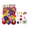 Zarwani Pressed Dried Flowers for Resin, Mixed Multiple Dry Flower for DIY Art Crafts, Epoxy Candle Resin Jewelry Nail Pendant for Resin Art, Scrapbooking DIY Art Crafts Epoxy (Red and Blue Mix)