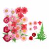 Zarwani Pressed Dried Flowers for Resin, Mixed Multiple Dry Flower for DIY Art Crafts, Epoxy Candle Resin Jewelry Nail Pendant for Resin Art, Scrapbooking DIY Art Crafts Epoxy (Red and Blue Mix) - Image 4